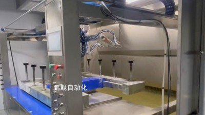 广东惠州8轴五金配件喷漆设备（线体）