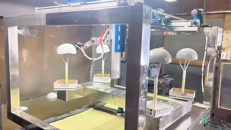 土耳其6轴2工位头盔喷漆机